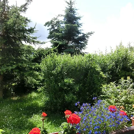 In Harz With Garden Ferienhaus Cattenstedt