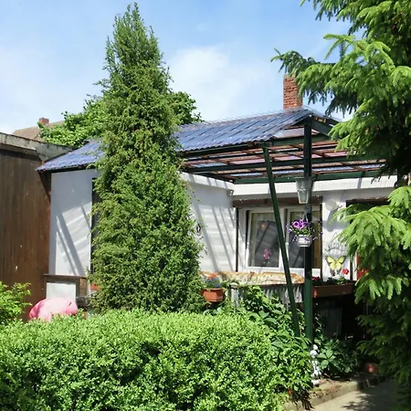 Ferienhaus In Harz With Garden *